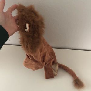 Lion 🦁 dog costume